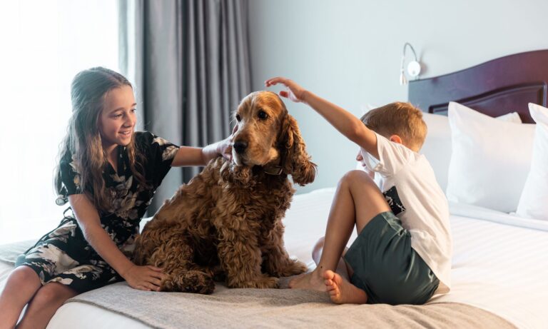 petit-manoir-services-animaux-acceptes-04